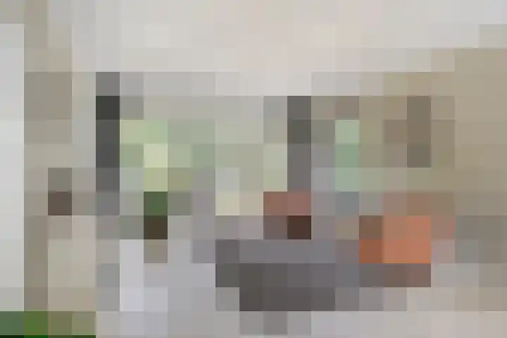 Boksprong 19 Best thumbnail 7
