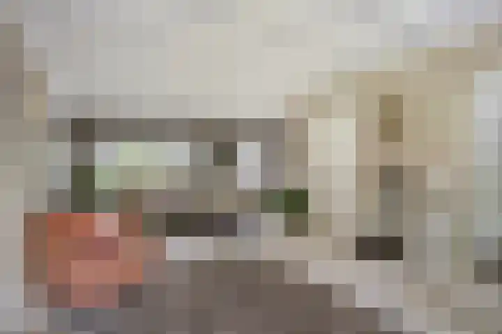 Boksprong 19 Best thumbnail 8