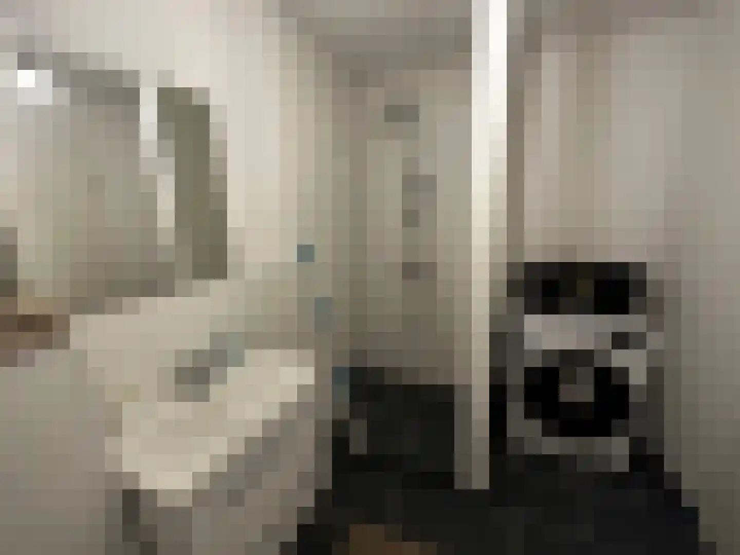 Bokstraat 43 Heerlen thumbnail 10