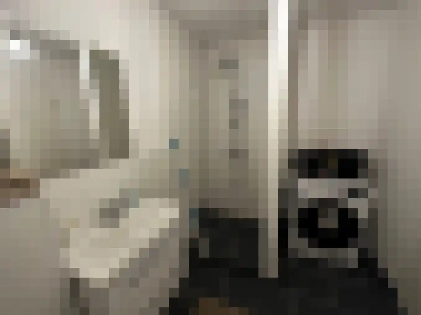 Bokstraat 43 Heerlen thumbnail 23