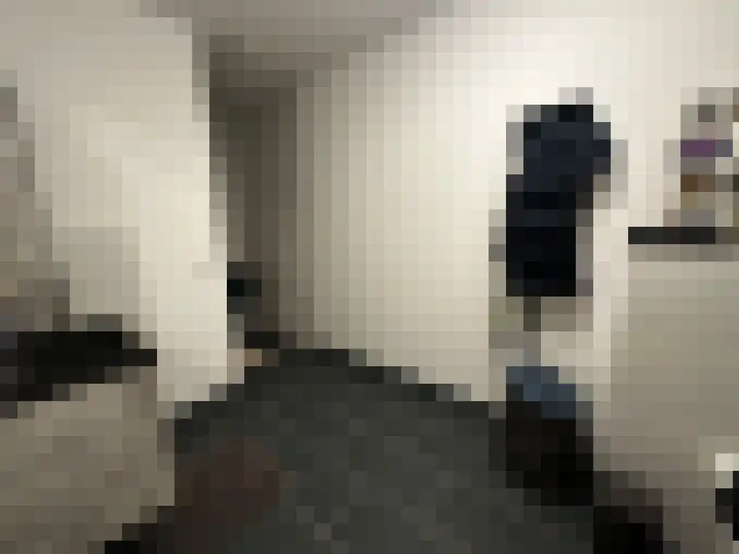 Bokstraat 43 Heerlen thumbnail 34