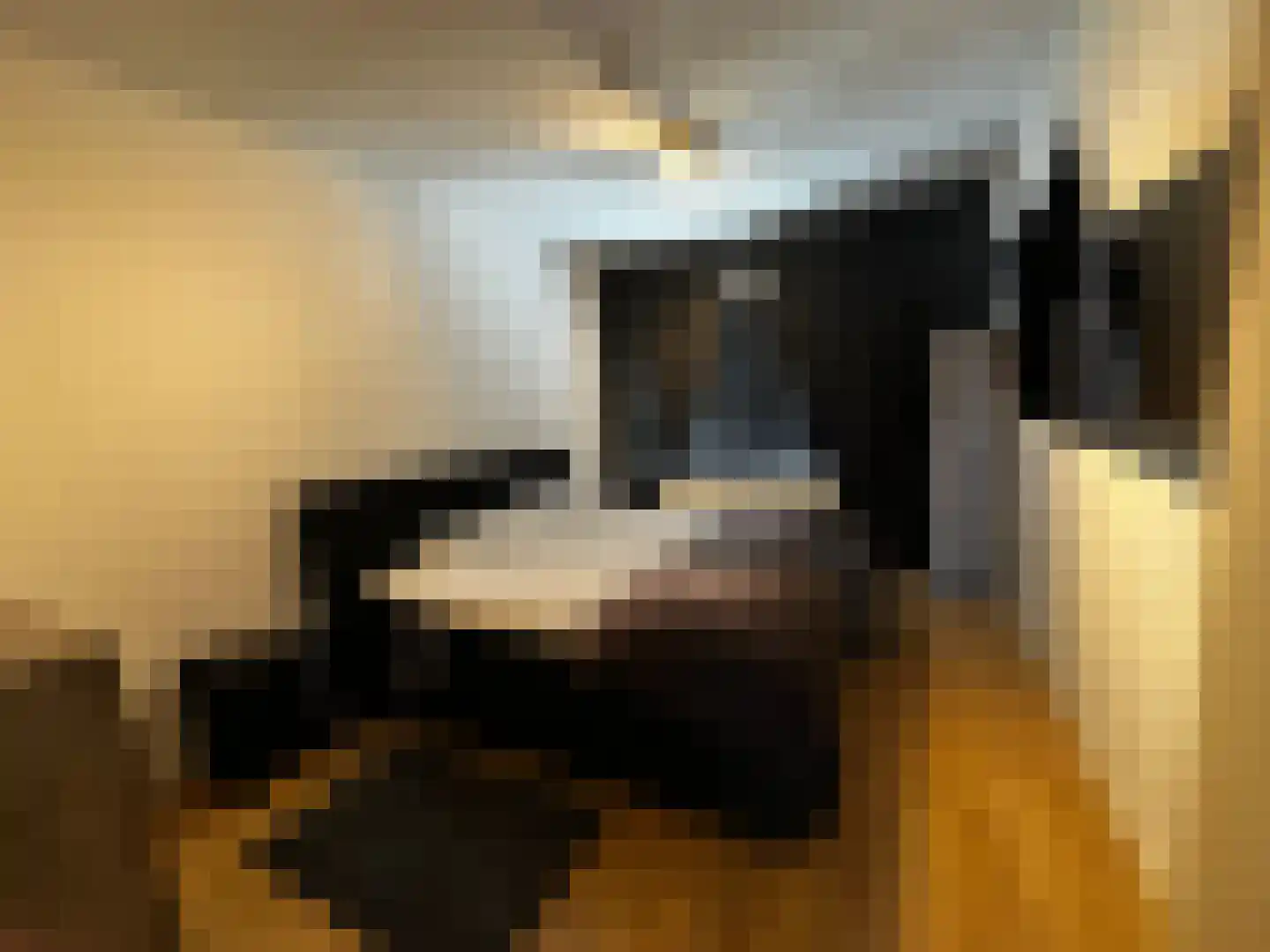 Bokstraat 43 Heerlen thumbnail 37