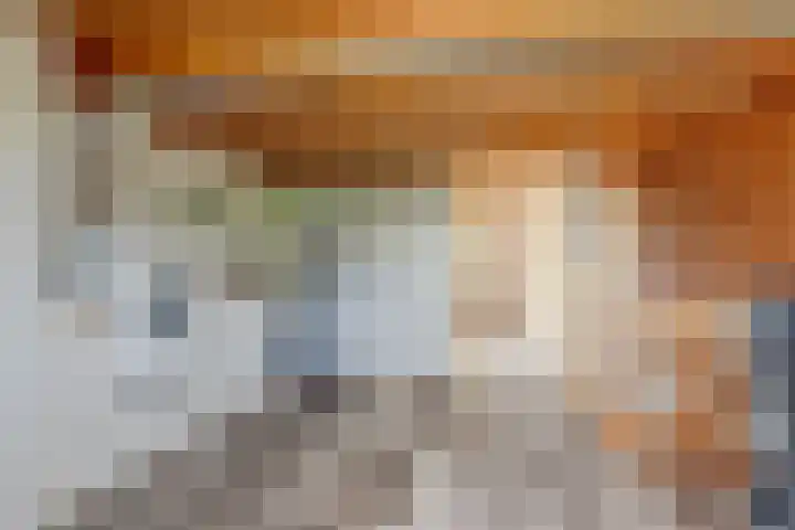 Bokstraat 45 Utrecht thumbnail 33