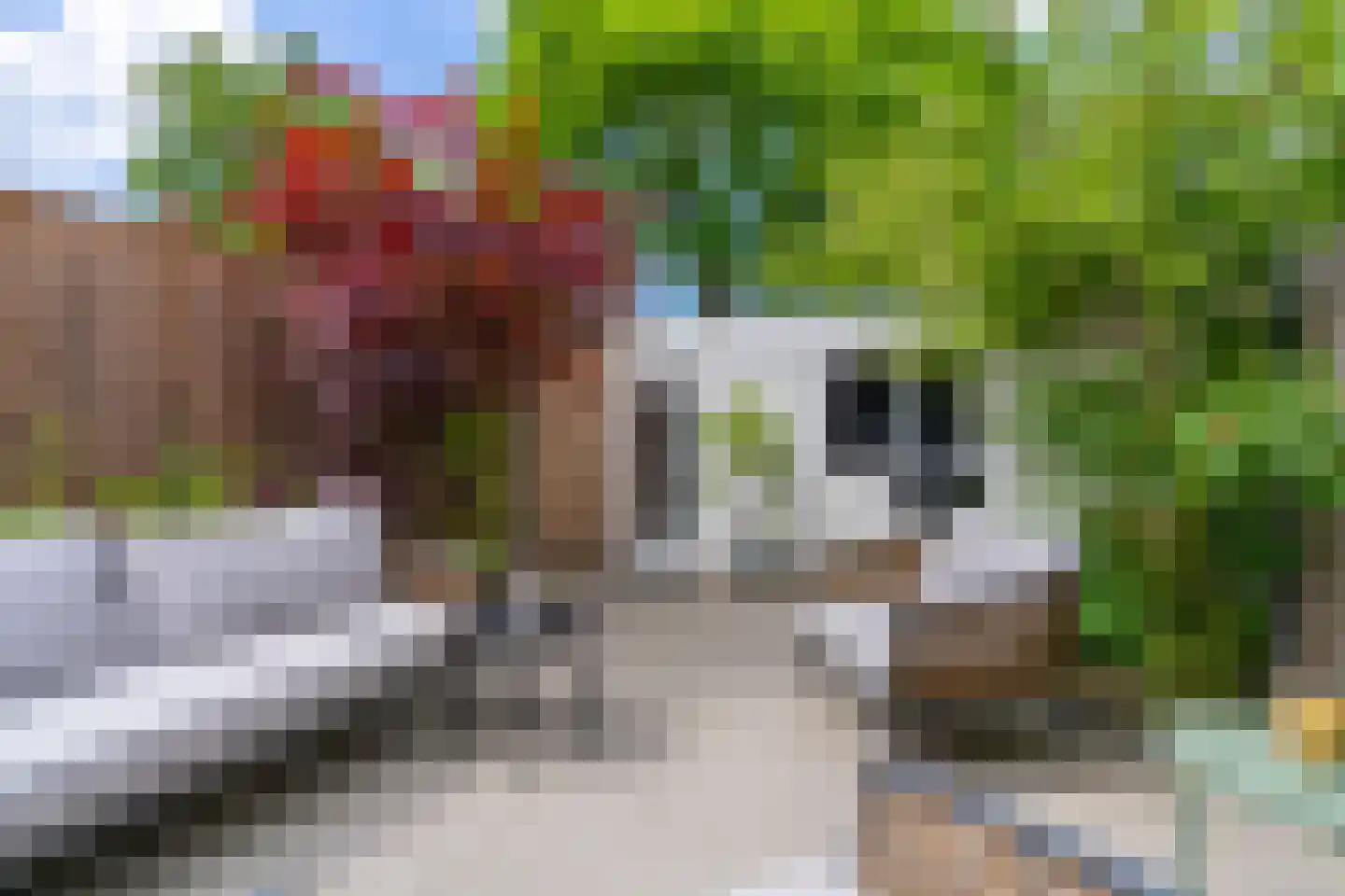 Bokstraat 47 Utrecht thumbnail 14