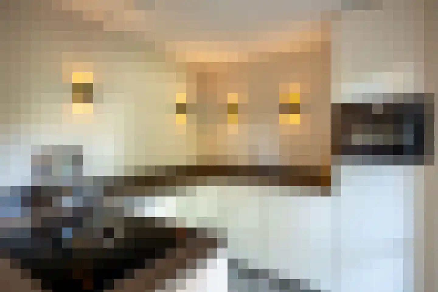 Bokvelden 20 Best thumbnail 18