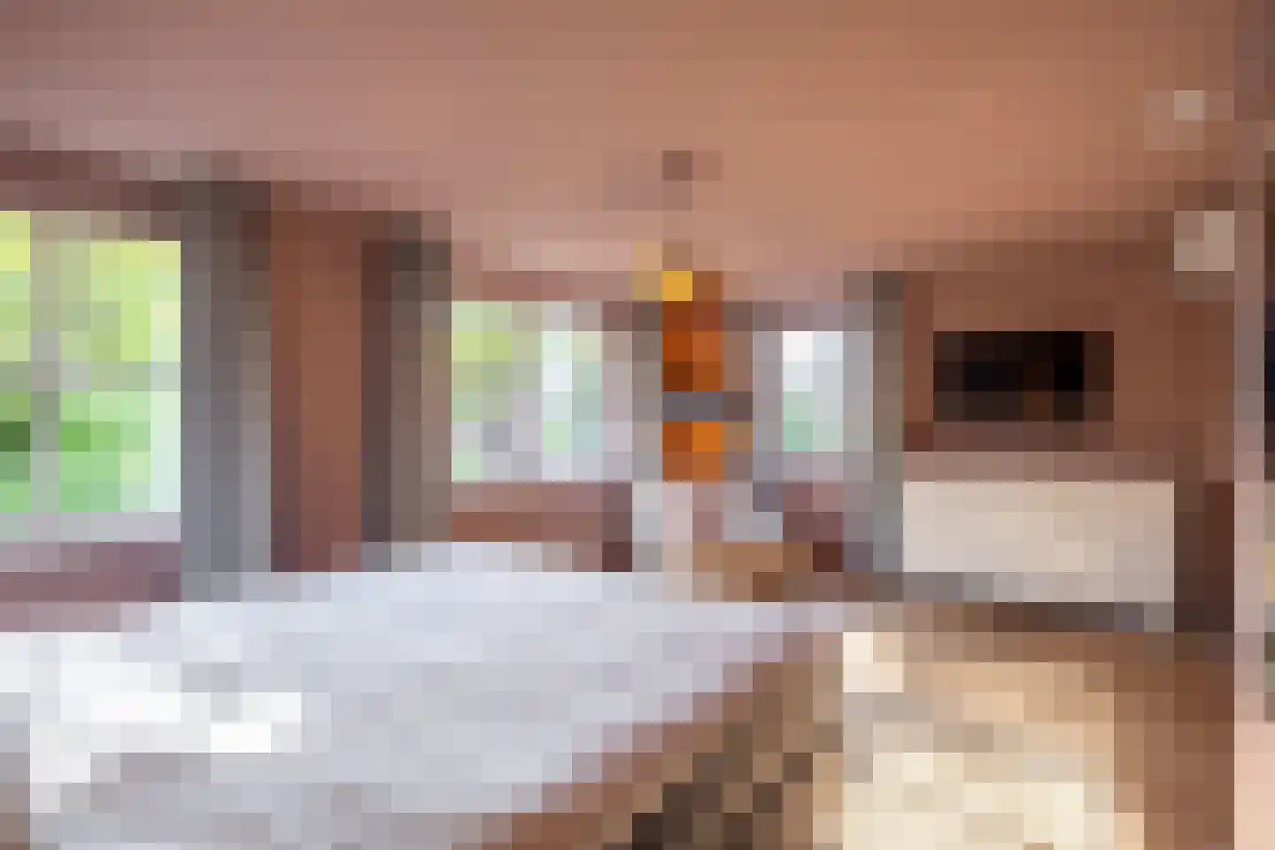 Bokvelden 20 Best thumbnail 28