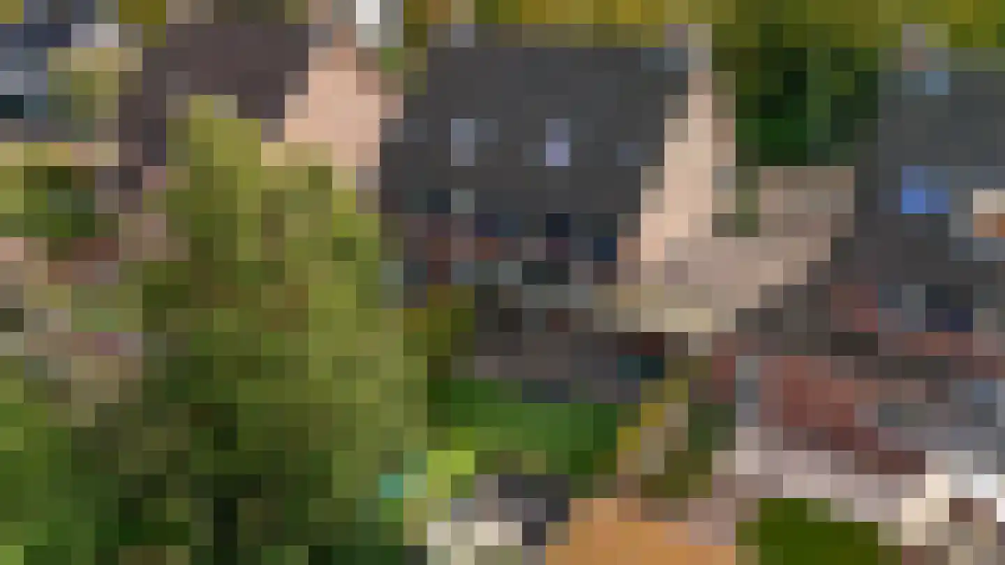Bokvelden 20 Best thumbnail 43