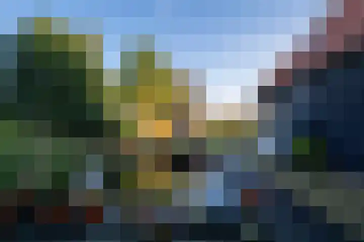 Bokweg 18 Ouddorp thumbnail 24