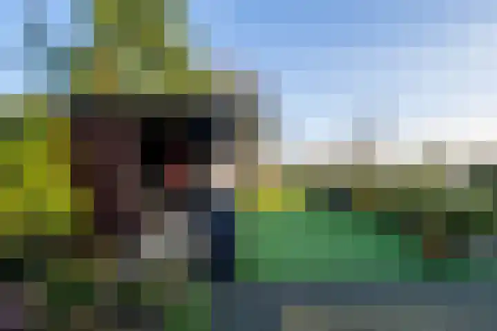 Bokweg 18 Ouddorp thumbnail 25