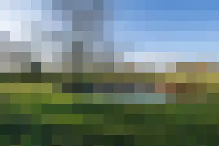 Bokweg 18 Ouddorp thumbnail 26