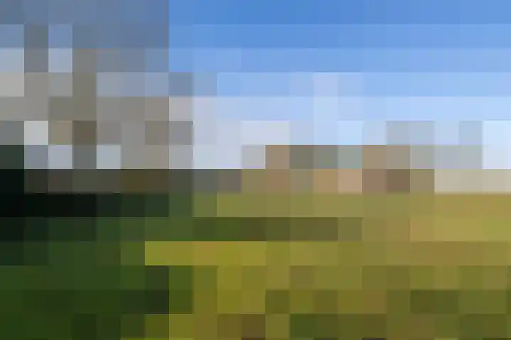 Bokweg 18 Ouddorp thumbnail 27