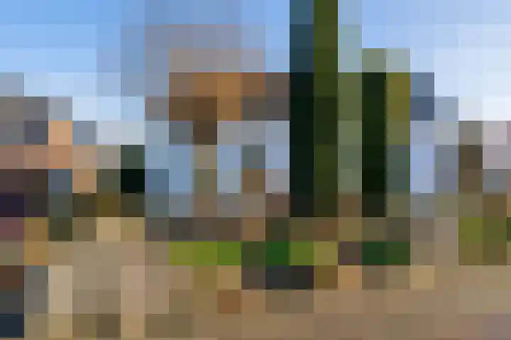 Bokweg 18 Ouddorp thumbnail 28