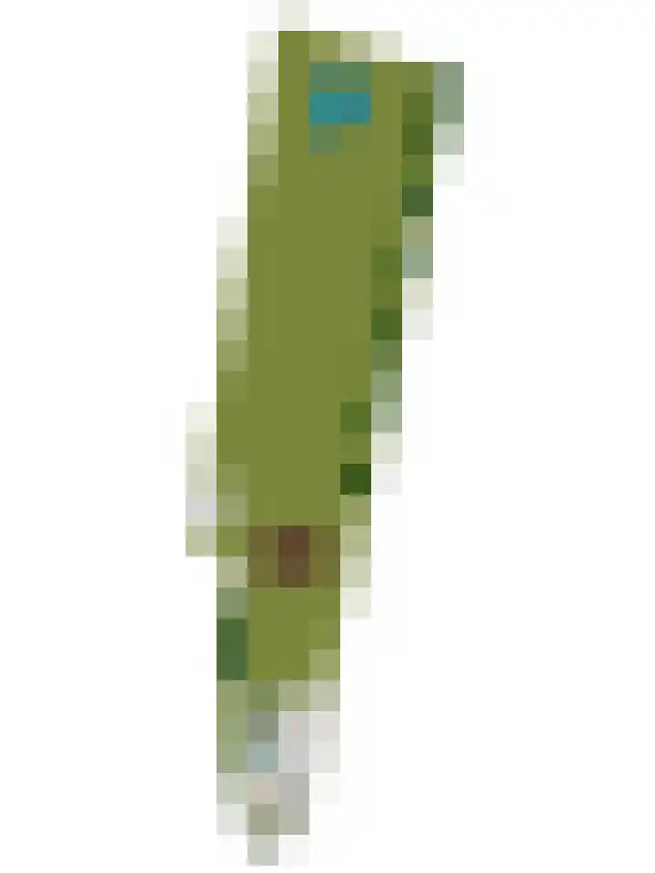Bokweg 18 Ouddorp thumbnail 32