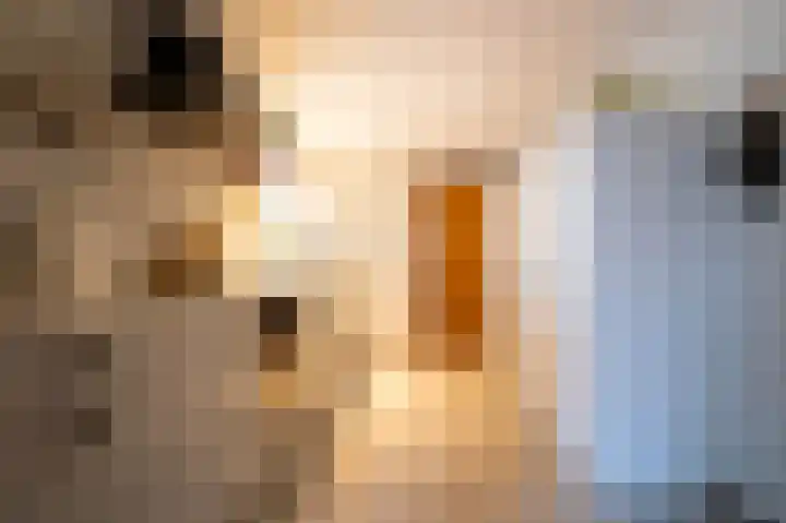 Bokweg 18 Ouddorp thumbnail 6