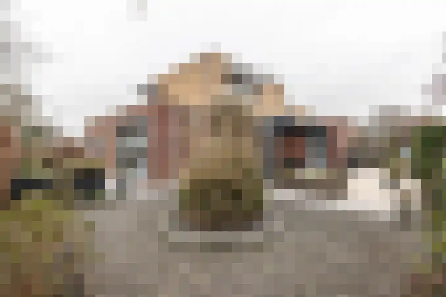 Bol 5 Zuidhorn thumbnail 20