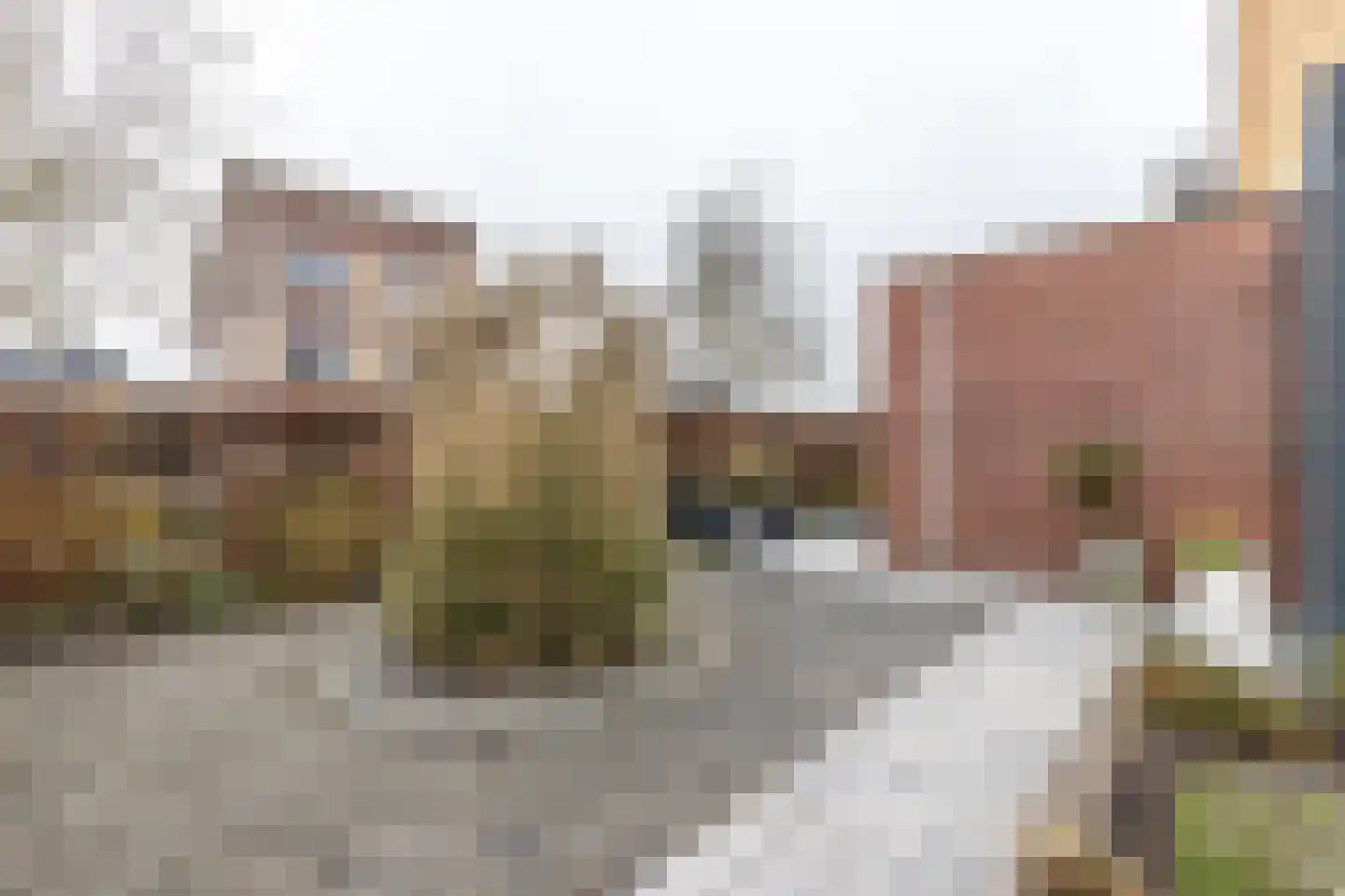 Bol 5 Zuidhorn thumbnail 21