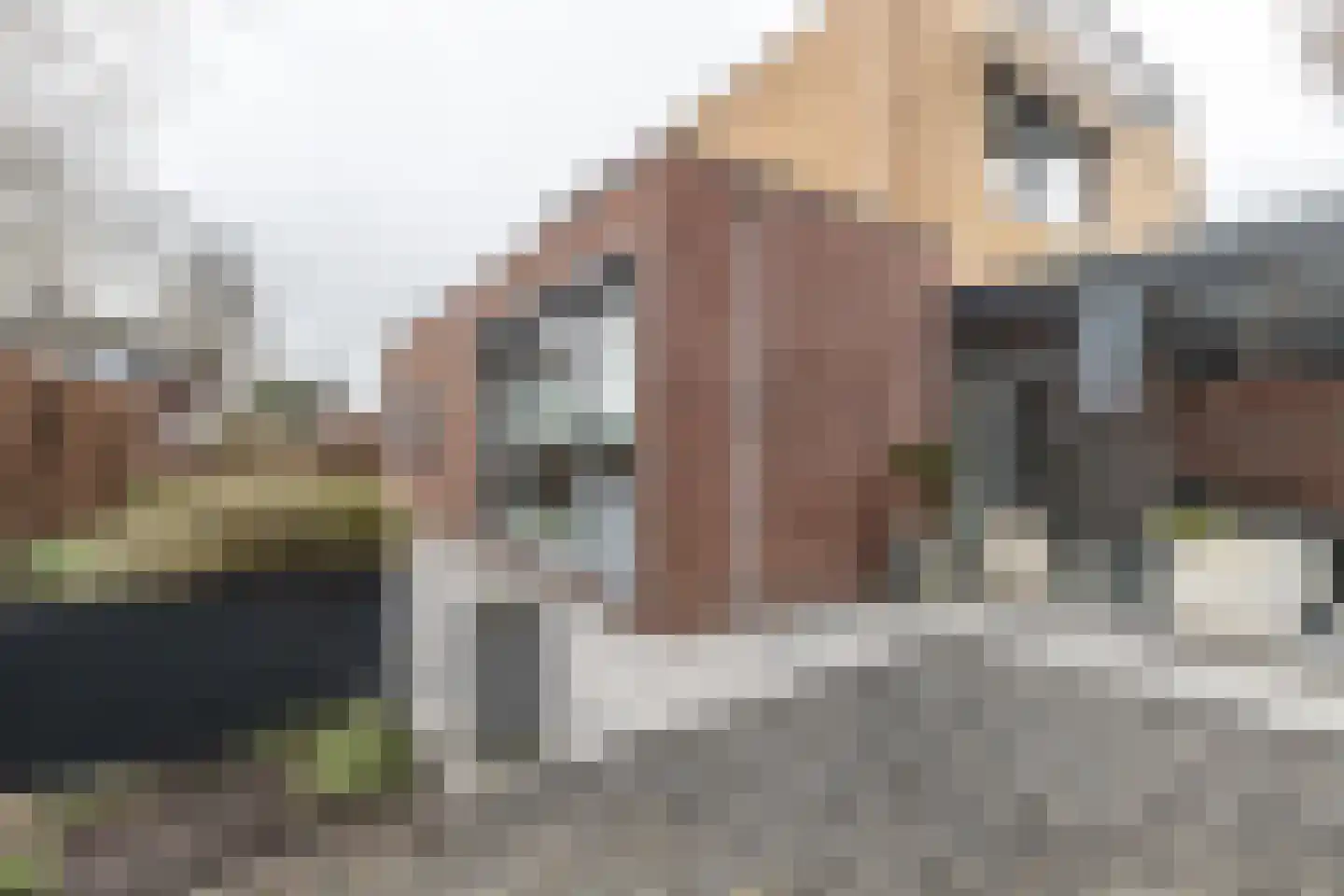 Bol 5 Zuidhorn thumbnail 22
