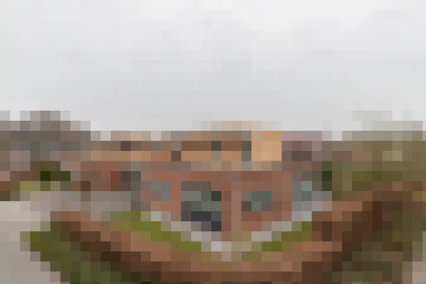 Bol 5 Zuidhorn thumbnail 4