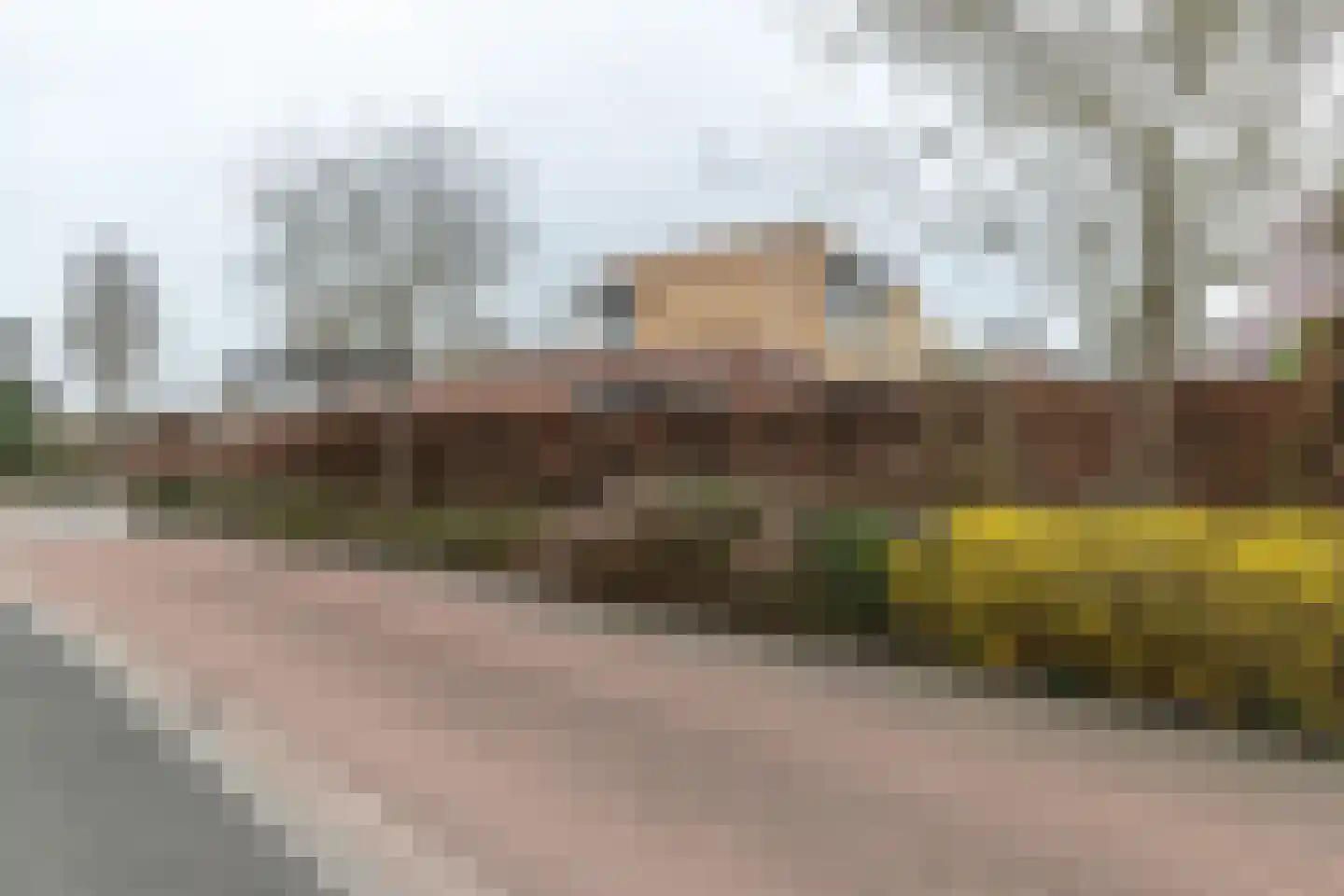 Bol 5 Zuidhorn thumbnail 40