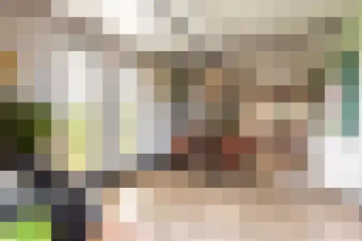 Bolakker 1 Haaren thumbnail 13