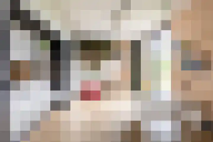Bolakker 1 Haaren thumbnail 17