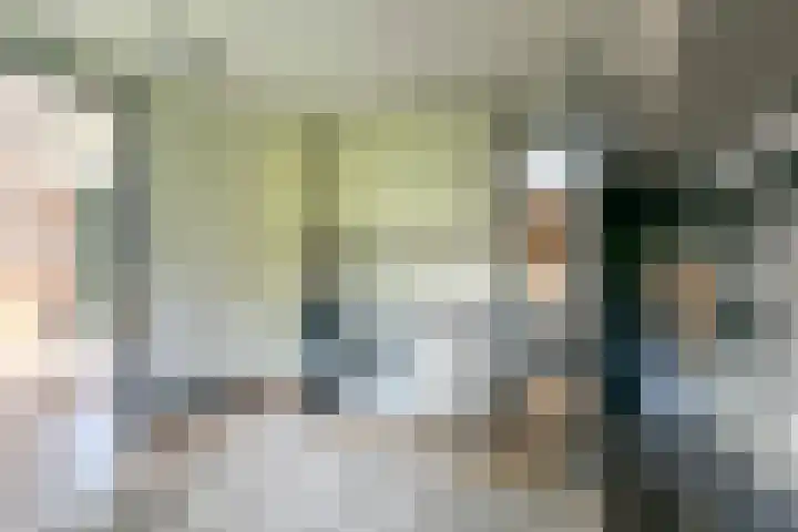Bolakker 1 Haaren thumbnail 19