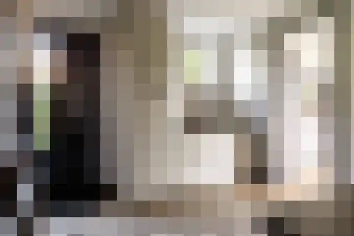 Bolakker 1 Haaren thumbnail 20