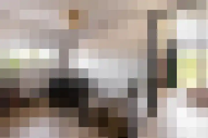 Bolakker 1 Haaren thumbnail 22