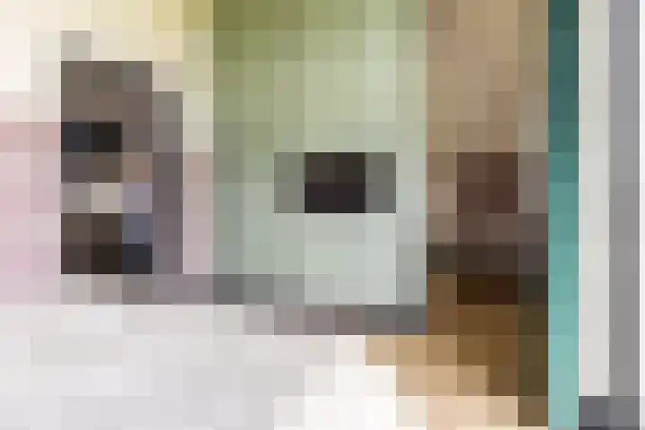 Bolakker 1 Haaren thumbnail 24