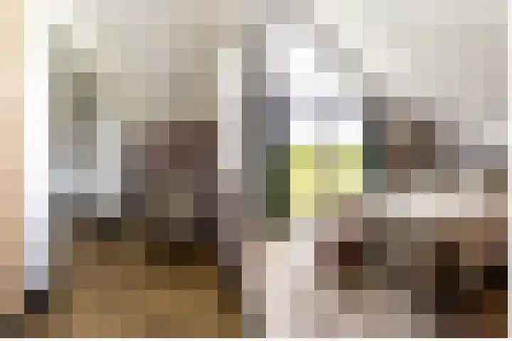 Bolakker 1 Haaren thumbnail 25