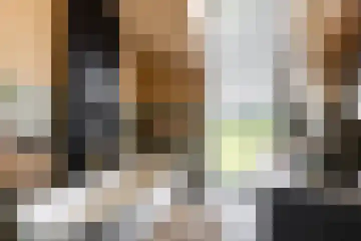 Bolakker 1 Haaren thumbnail 26