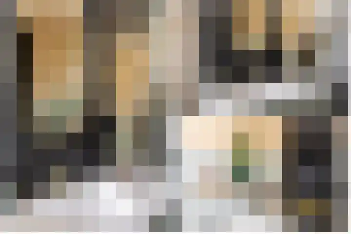 Bolakker 1 Haaren thumbnail 27
