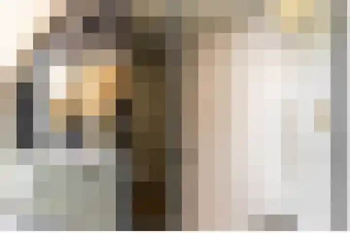 Bolakker 1 Haaren thumbnail 28