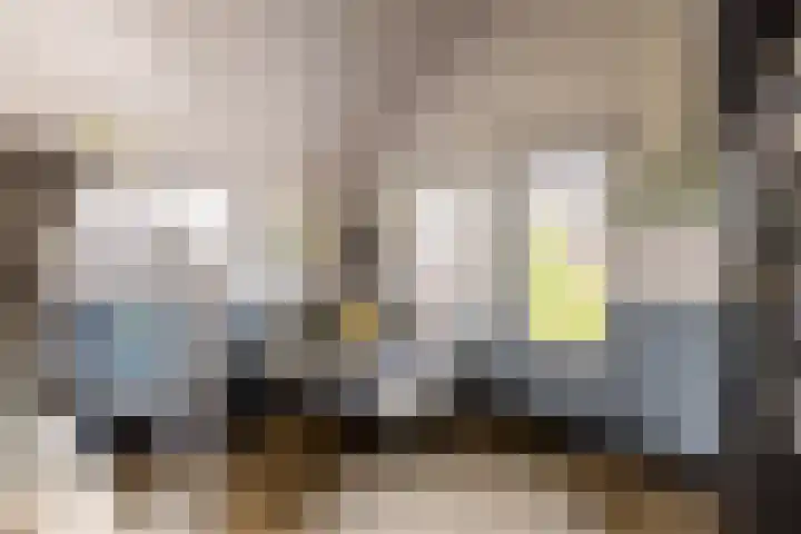 Bolakker 1 Haaren thumbnail 31