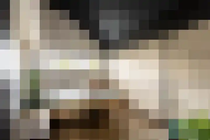Bolakker 1 Haaren thumbnail 32