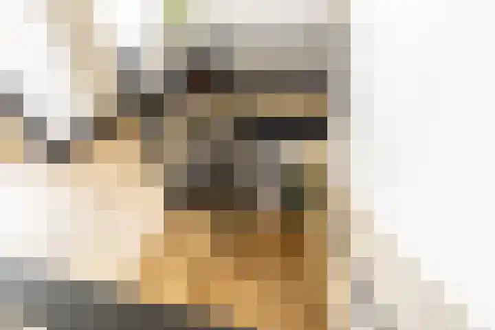 Bolakker 1 Haaren thumbnail 33