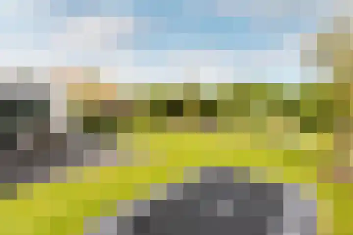 Bolakker 1 Haaren thumbnail 35