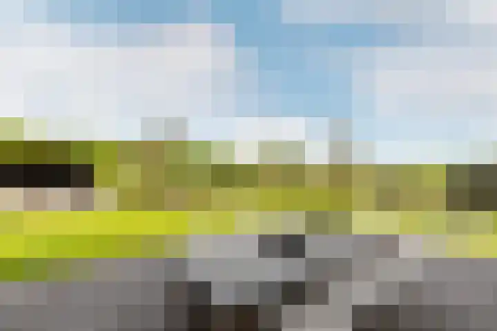 Bolakker 1 Haaren thumbnail 36