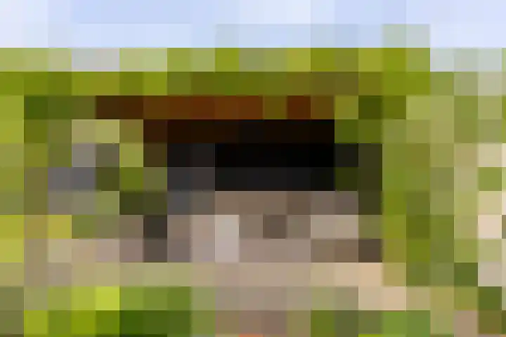 Bolakker 1 Haaren thumbnail 38