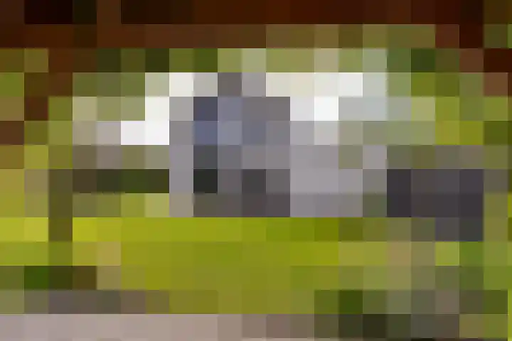 Bolakker 1 Haaren thumbnail 39