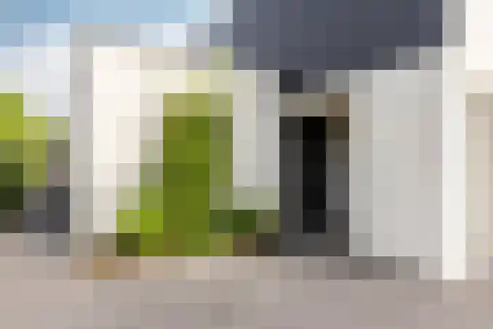 Bolakker 1 Haaren thumbnail 7