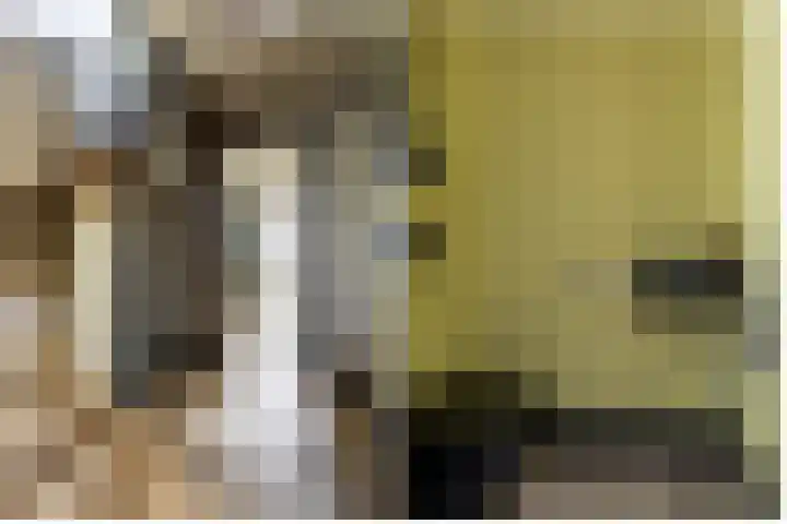 Bolakker 1 Haaren thumbnail 9