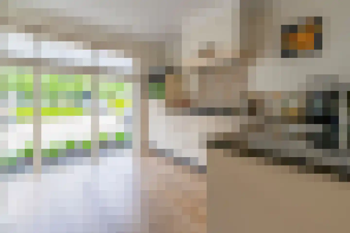 Bolakker 8 Berkel-Enschot thumbnail 7