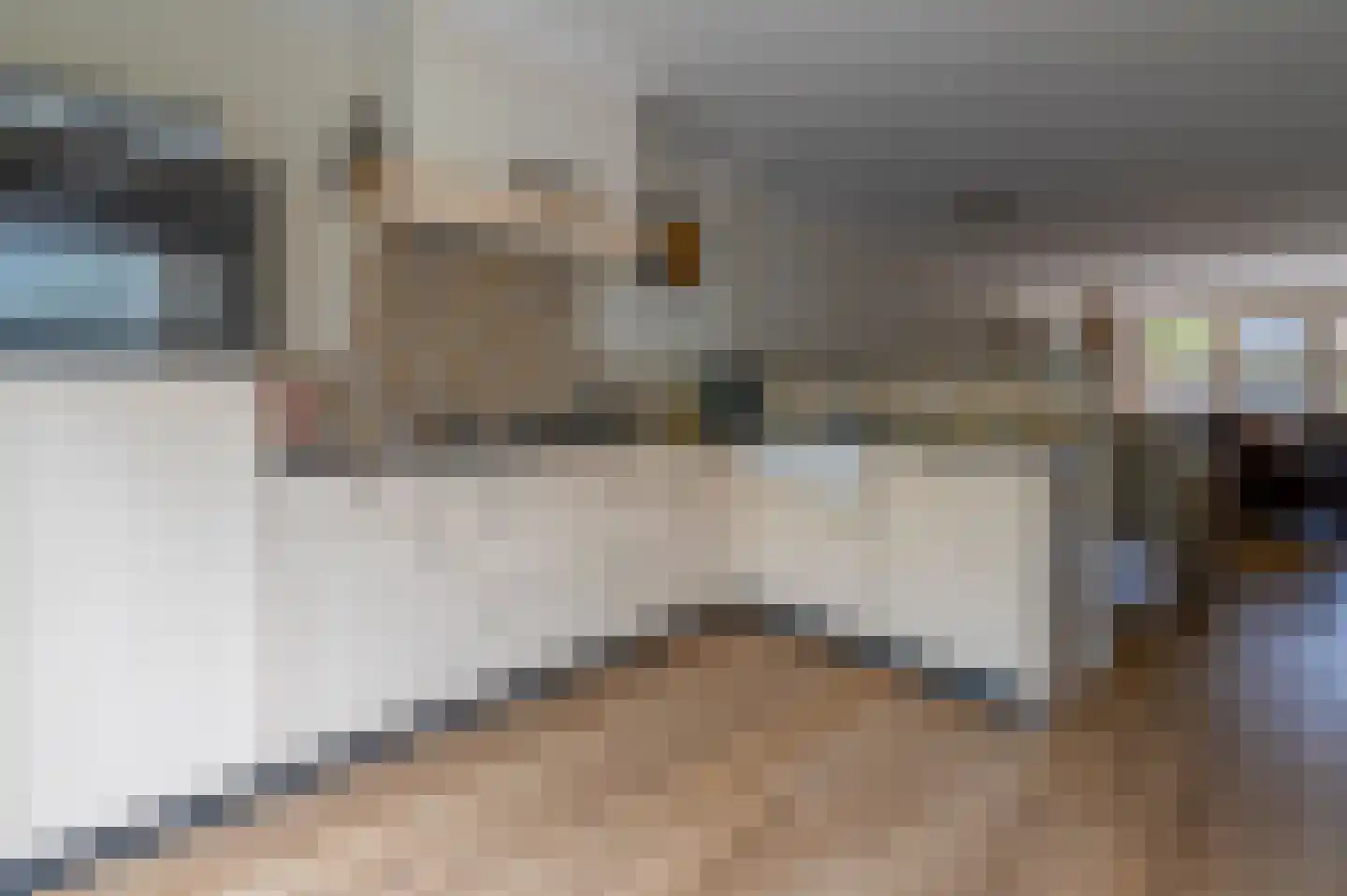 Bolakker 8 Berkel-Enschot thumbnail 9