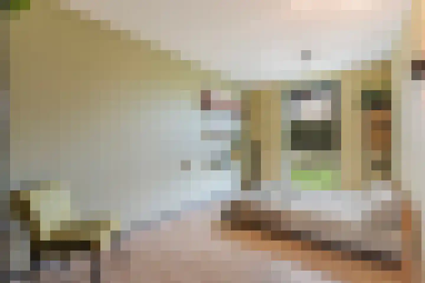 Boldenbergpad 118 Zwolle thumbnail 13