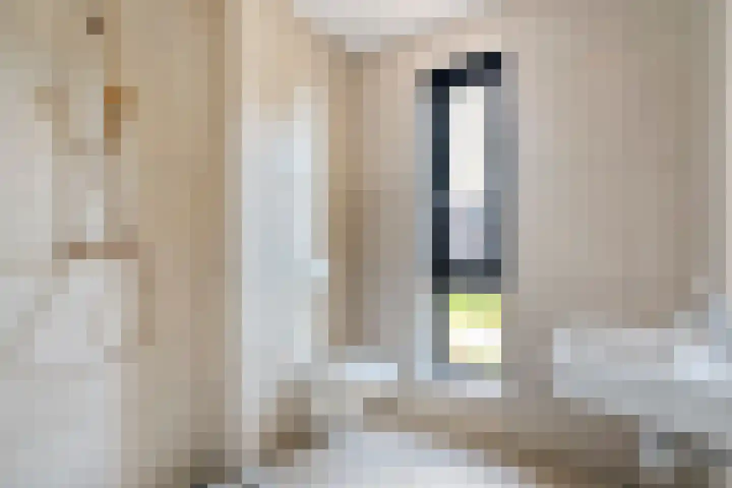 Boldenbergpad 119 Zwolle thumbnail 20