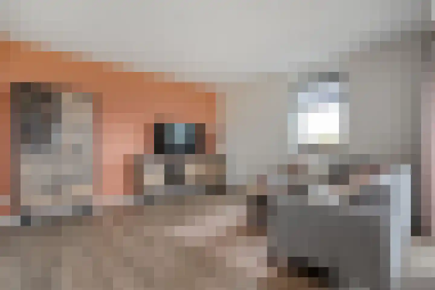 Boldenbergpad 128 Zwolle thumbnail 17