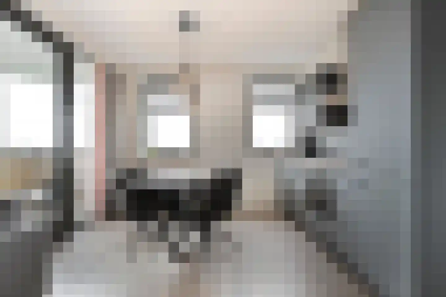 Boldenbergpad 128 Zwolle thumbnail 20
