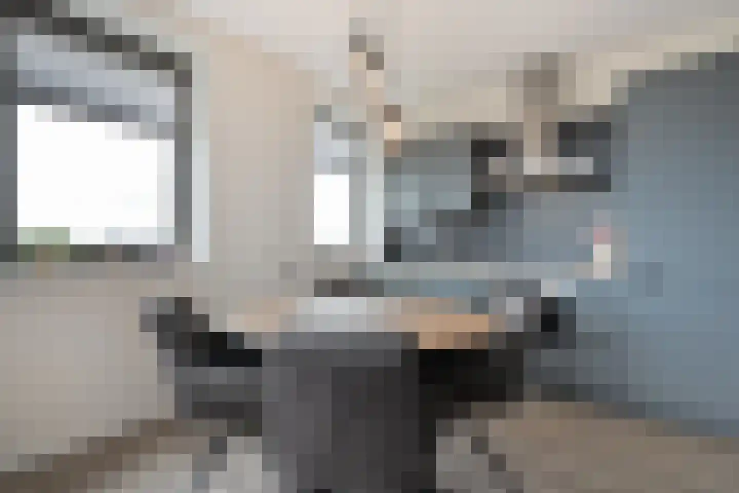 Boldenbergpad 128 Zwolle thumbnail 22