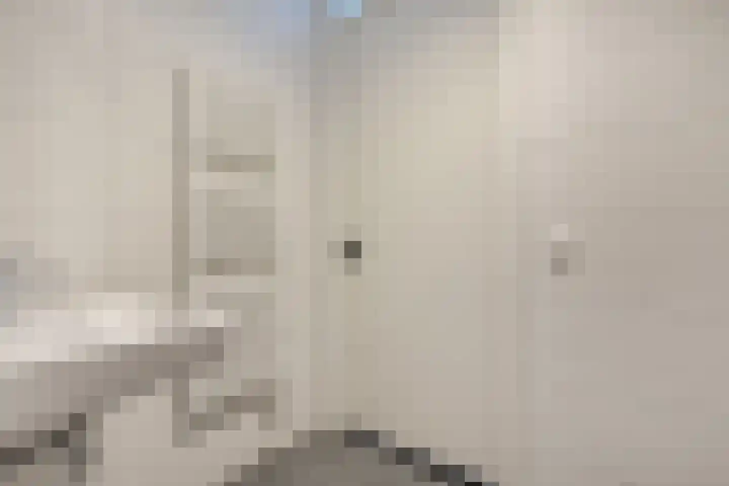 Boldenbergpad 128 Zwolle thumbnail 32
